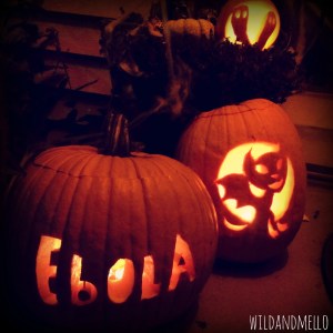 Mike, Lilly & Mia's pumpkins