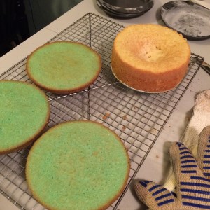single cake layers compared to spring form cake pan