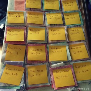 Quilt Rows All Organized 