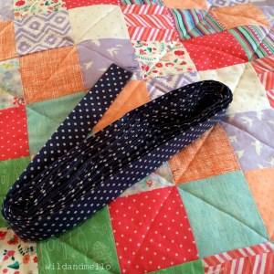 Blue And White Polka Dot Trim