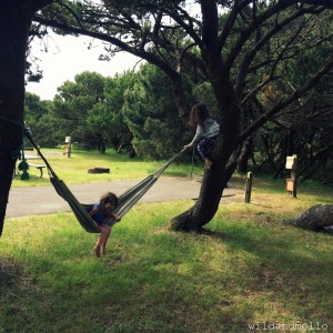 Hammocks are a must!